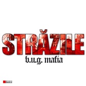 Strazile feat. (Mario V) artwork