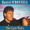 The Last Waltz, 1990
