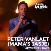 Alweer een hart (uit Liefde Voor Muziek) [feat. Mama's Jasje] artwork