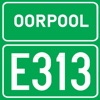 E313 - Single