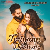 Teriyaan Deedan Sharoon on the Beat Dj Hans artwork