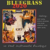 Pipeliner Blues (feat. Scott Vestal, Patrick McAvinue, Cody Kilby, Dominick Leslie & Curtis Vestal) artwork