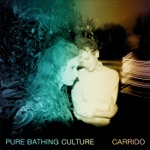 Pure Bathing Culture - Would You?