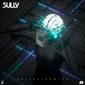 Sully - Stuntin'