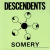  Good Good Things by Descendents