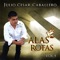 Alas Rotas - Julio Cesar Caballero lyrics