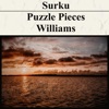 Puzzle Pieces / Williams - Single