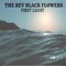 First Light - The Rev Black Flowers lyrics