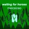 Los Colorados - Waiting For Horses lyrics