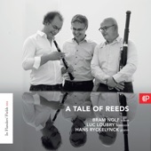 Trio de Salon, Op. 8 pour hautbois, basson et Piano: II. Allegro moderato artwork