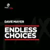 Stream & download Endless Choices - Single