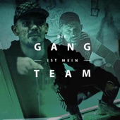 Die Gang ist mein Team artwork