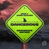 Dangerous - Single