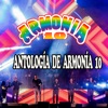 Antología de Armonía 10 - Single