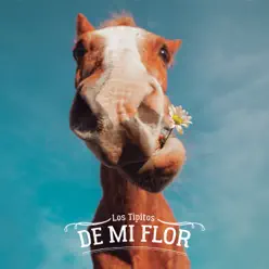 De Mi Flor - Los Tipitos