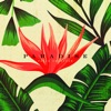 Paradise - Single