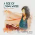 A Tide of Living Water - Music by Clarice Assad - EP album cover