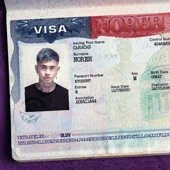 Visa artwork