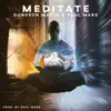 Meditate (feat. Dungeon Masta) - Single album lyrics, reviews, download