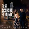 Si Se Acabara El Mundo - Single