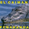 El Caimán