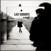 Last Goodbye - Single