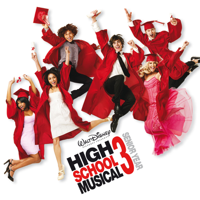 Various Artists - High School Musical 3: Senior Year artwork