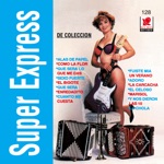 Fuiste Mía Un Verano