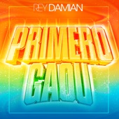 Primero Gaou artwork