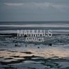 Animalia - EP