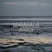 Circles by Mammals