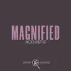 Magnified (Acoustic) - Single album lyrics, reviews, download