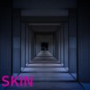 Henri Z - Skin