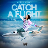 Catch a Flight artwork
