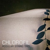 Chlorofil artwork