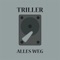 Alles Weg - Triller lyrics