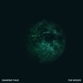 The Woods by Diamond Thug