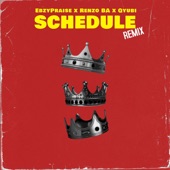 Schedule Remix (feat. Renzo BA & Qyubi) artwork