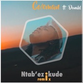 Ntab'ezikude (feat. Donald) [Remix] artwork