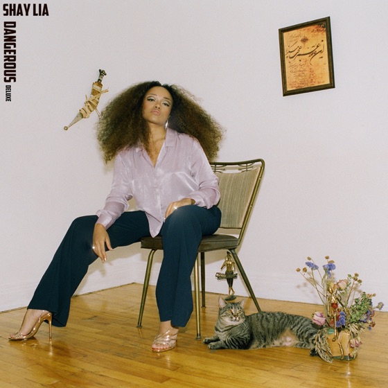 Cover artwork for So Brand New