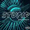 Stupid - Single album lyrics, reviews, download