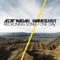 Asaf Avidan & The Mojos - One Day / Reckoning Song (Wankelmut Remix)