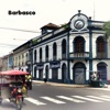 Barbasco