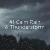 #1 Calm Rain & Thunderstorm album lyrics, reviews, download