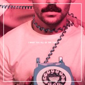 I Want You All of the Time artwork