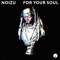 For Your Soul - Noizu lyrics