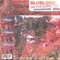 Memories of Home (feat. Mixed Matches) - Blublood lyrics