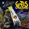 Temprano - Gatos Callejeros lyrics