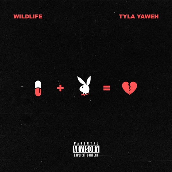 Cover artwork for Wildlife