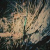 Gothic King Cobra - Single